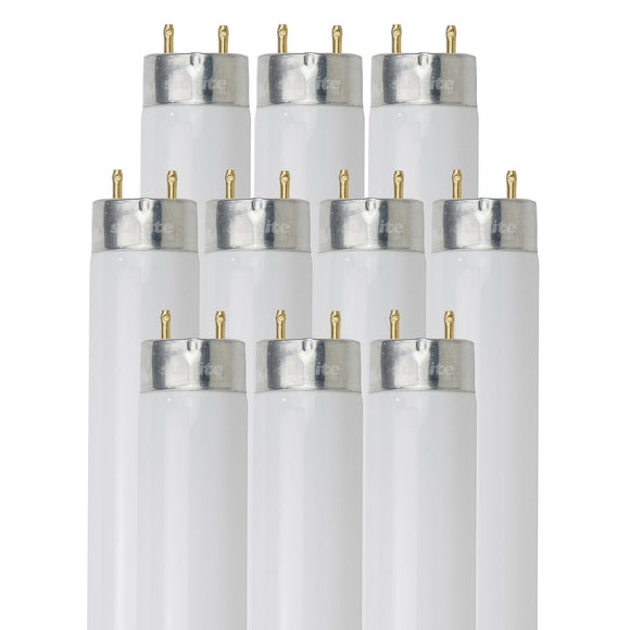 Linear Fluorescent - T8 High Performance Straight Tube - 32 Watt - 3050 Lumens  - Cool White - 4100 Kelvin