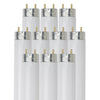 Linear Fluorescent - T8 High Performance Straight Tube - 32 Watt - 3050 Lumens  - Cool White - 4100 Kelvin