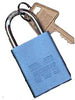 Morris Products 21652 Blue Padlock Keyed Alike