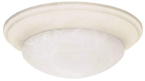 NUVO Lighting 60/286 Fixtures Ceiling Mounted-Flush