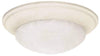 NUVO Lighting 60/286 Fixtures Ceiling Mounted-Flush