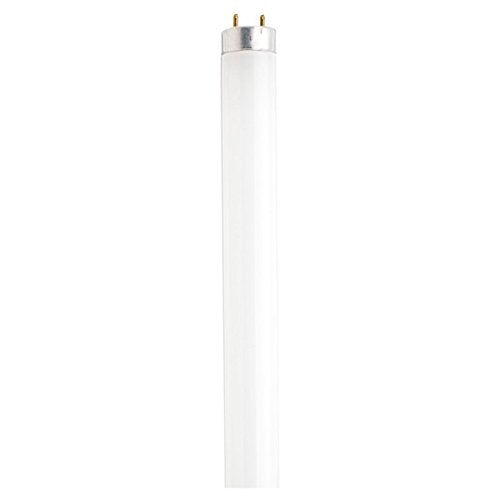 Satco S6875 Fluorescent Black Lights T8