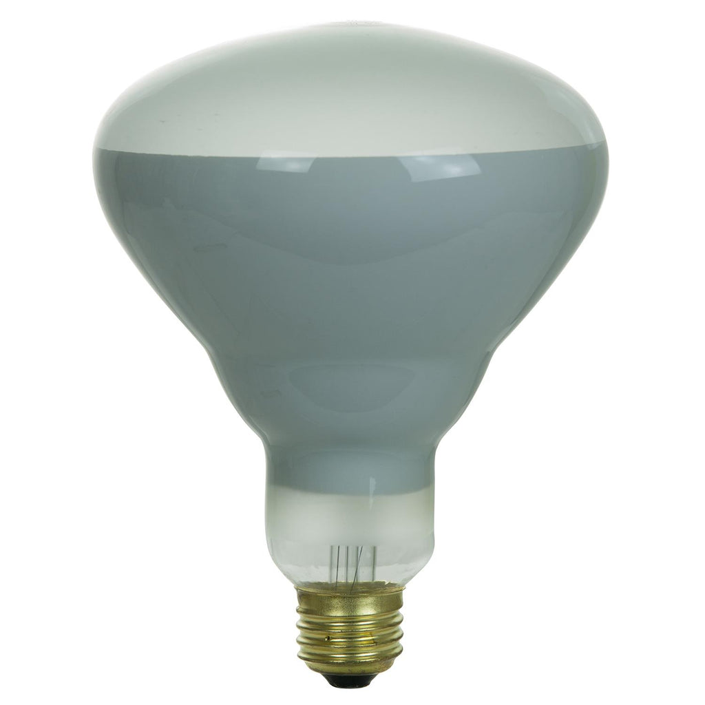 Incandescent - BR40 Reflector - 65 Watt - 550 Lumens  - Warm White - 2700 Kelvin