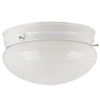 Incandescent - Ceiling Space Collection