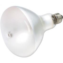 Satco S4261 HID Metal Halide R40