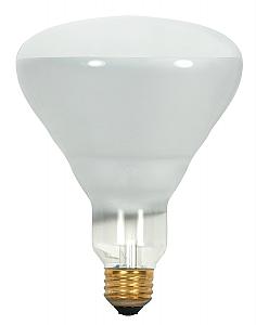 Satco S8521 Incandescent BR40
