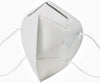 KN95 Disposable Face Mask - 95% Filtration of Particles
