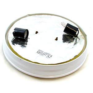 Satco 90/685 Fixtures Ceiling Mounted-Flush