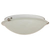 Fluorescent - Ceiling Space Collection  - 1250 Lumens  - Warm White - 2700 Kelvin