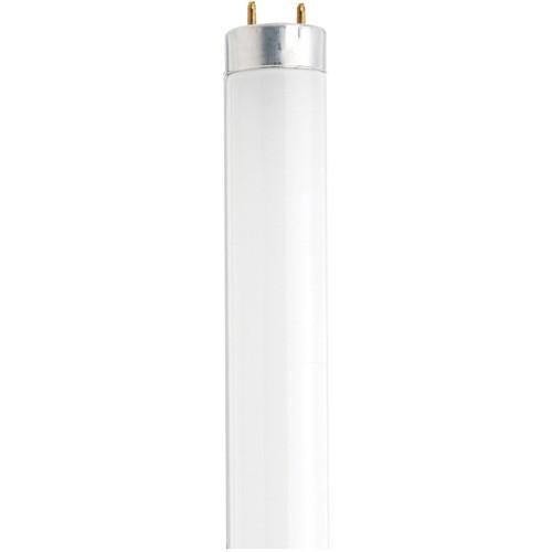 Satco S6584 Fluorescent T8