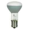 Incandescent - Elevator - 20 Watt - 600 Lumens  - Warm White - 2700 Kelvin