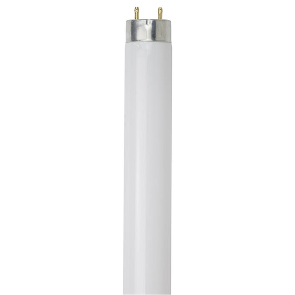 Linear Fluorescent - T8 High Performance Straight Tube - 25 Watt - 2300 Lumens  - Soft White - 5000 Kelvin