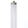 Linear Fluorescent - T12 Colored Straight Tube - 75 Watt - 3880 Lumens  - Display Pink - Display Pink