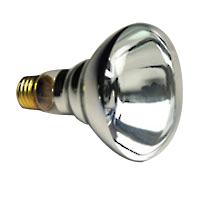 Halco BR30CL100/12V
