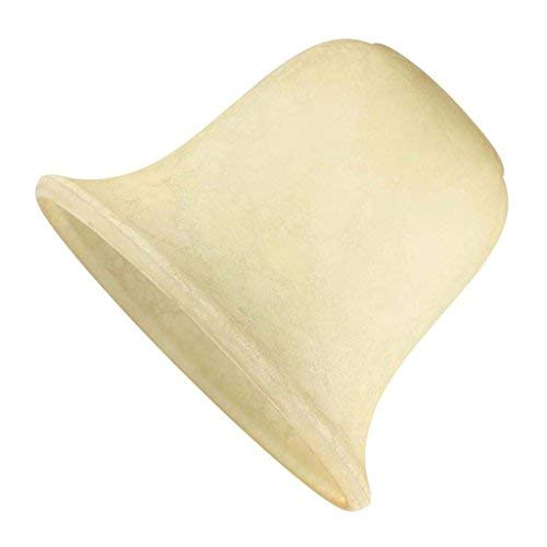 Westinghouse 8100200