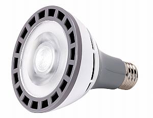 Satco S9765 LED PAR30LN