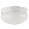 Incandescent - Ceiling Space Collection