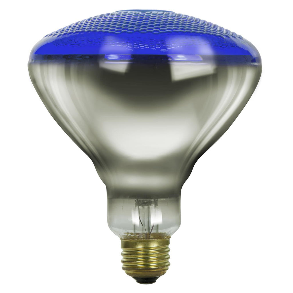 Incandescent - BR38 Colored Reflector - 100 Watt -Blue - Blue