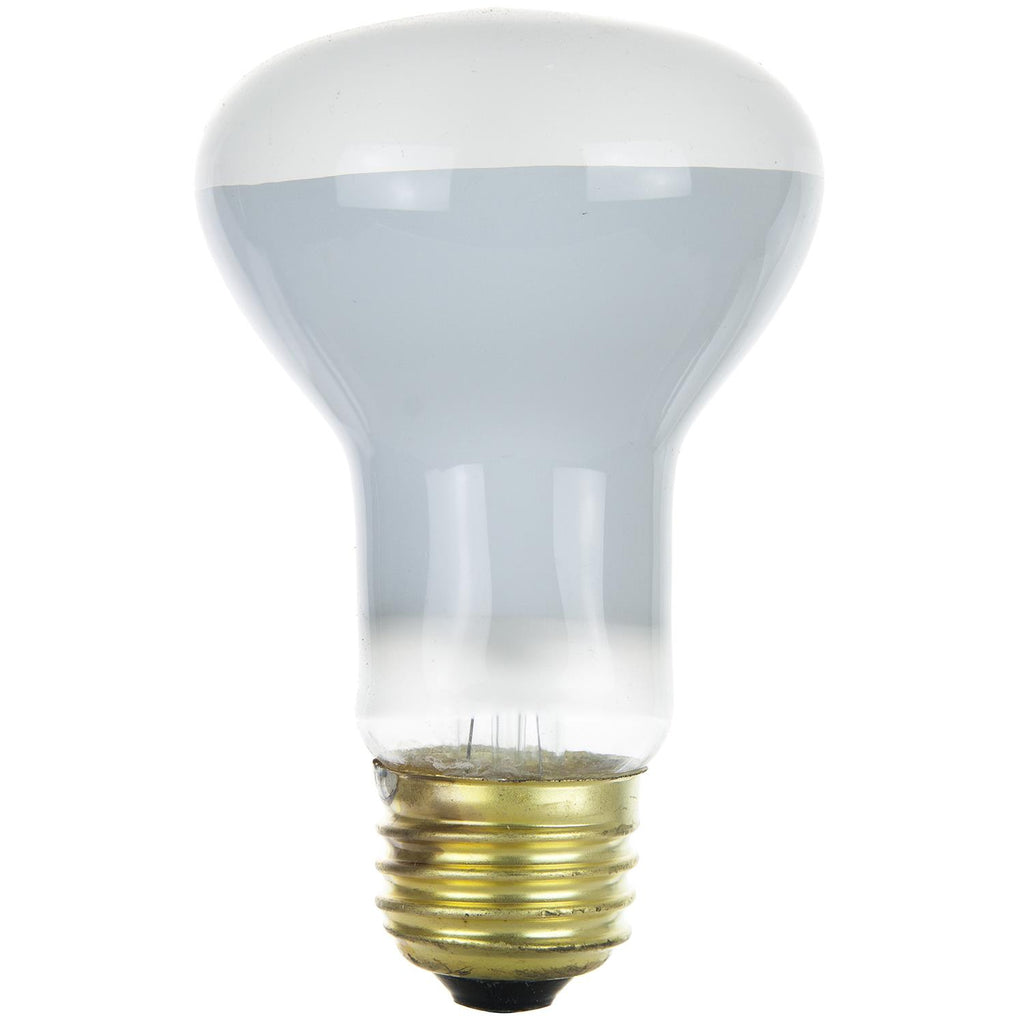 Halogen - R20 Reflector - 45 Watt - 550 Lumens  - Warm White - 2700 Kelvin