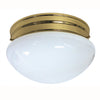 Fluorescent - Ceiling Space Collection  - 1250 Lumens  - Warm White - 2700 Kelvin