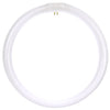 Linear Fluorescent - T9 Circline - 32 Watt - 1750 Lumens  - Daylight - 6500 Kelvin