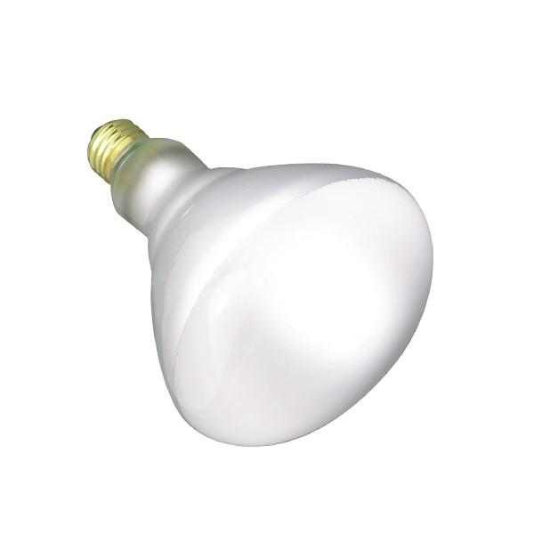 Satco S7011 Incandescent BR40