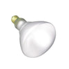 Satco S7011 Incandescent BR40