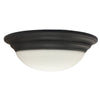 Morris Products 72215 NW Bay Ceiling Bronze 17W 4K 14 inch