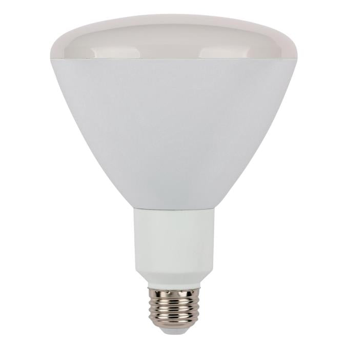 R40 Light Bulb Dimensions | Shelly Lighting