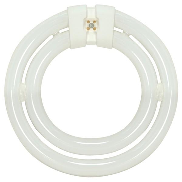 Satco S6578 Fluorescent T6