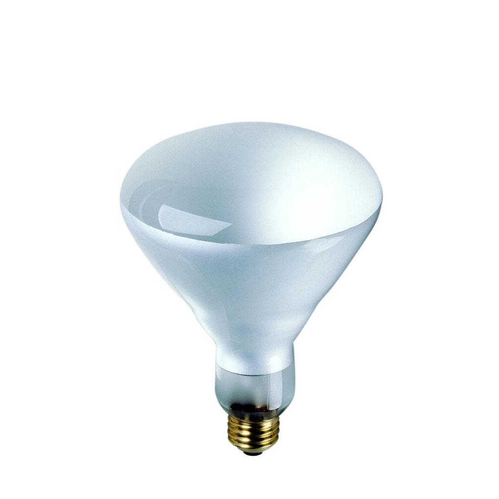 Bulbrite 295806 65 Watt Br40 Incandescent White Reflector Flood Frost