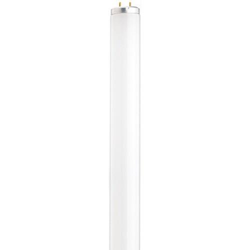 Satco S6567 Fluorescent T12