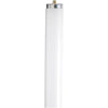 Satco S6591 Fluorescent T6