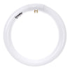 Linear Fluorescent - T9 Circline - 30 Watt - 2050 Lumens  - Warm White - 2700 Kelvin