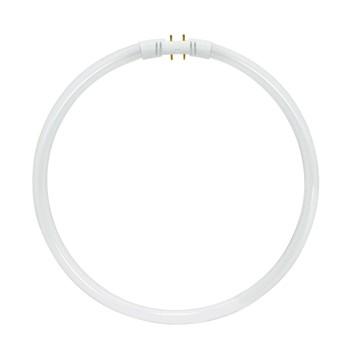 Satco S8159 Fluorescent Circline T5