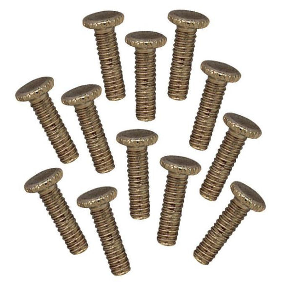 Westinghouse 7704100 12 Fitter Screws Antique Brass Finish