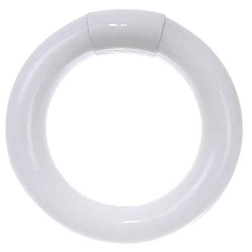 Linear Fluorescent - T9 Circline - 22 Watt - 1250 Lumens  - Cool White - 4100 Kelvin
