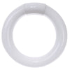 Linear Fluorescent - T9 Circline - 22 Watt - 1250 Lumens  - Cool White - 4100 Kelvin