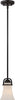 NUVO Lighting 60/5588 Fixtures Pendant