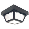 Incandescent - Porch Lighting