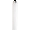 Satco S6595 Fluorescent T12