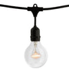 Bulbrite 810140 - 48 ft String Light Kit - 15 Sockets - E26 Base - Black Wire with 25 Watt G25 Clear Finish Lamps - STRING15/E26/BLACK-G25KT