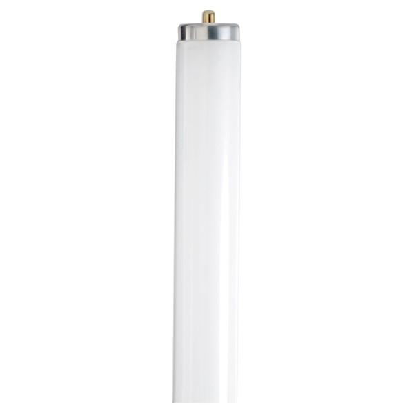 Satco S6469 Fluorescent T12