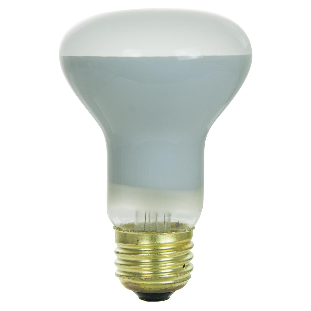 Incandescent - R20 Reflector - 45 Watt - 320 Lumens  - Warm White - 2700 Kelvin