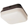 Fluorescent - Porch Lighting  - 1250 Lumens  - Warm White - 2700 Kelvin