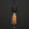Incandescent - Pendant