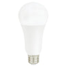 A21FR16/830/OMNI/LED