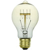 Incandescent - Filament Victorian Style A19 - 60 Watt