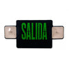 TCP 20784BSALIDA