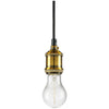 Incandescent - Pendant